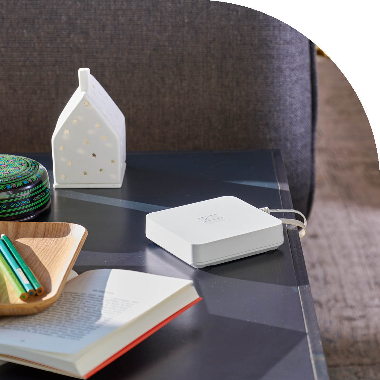 immagine illustrativa