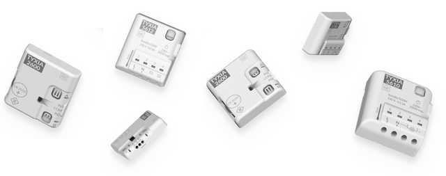 immagine illustrativa