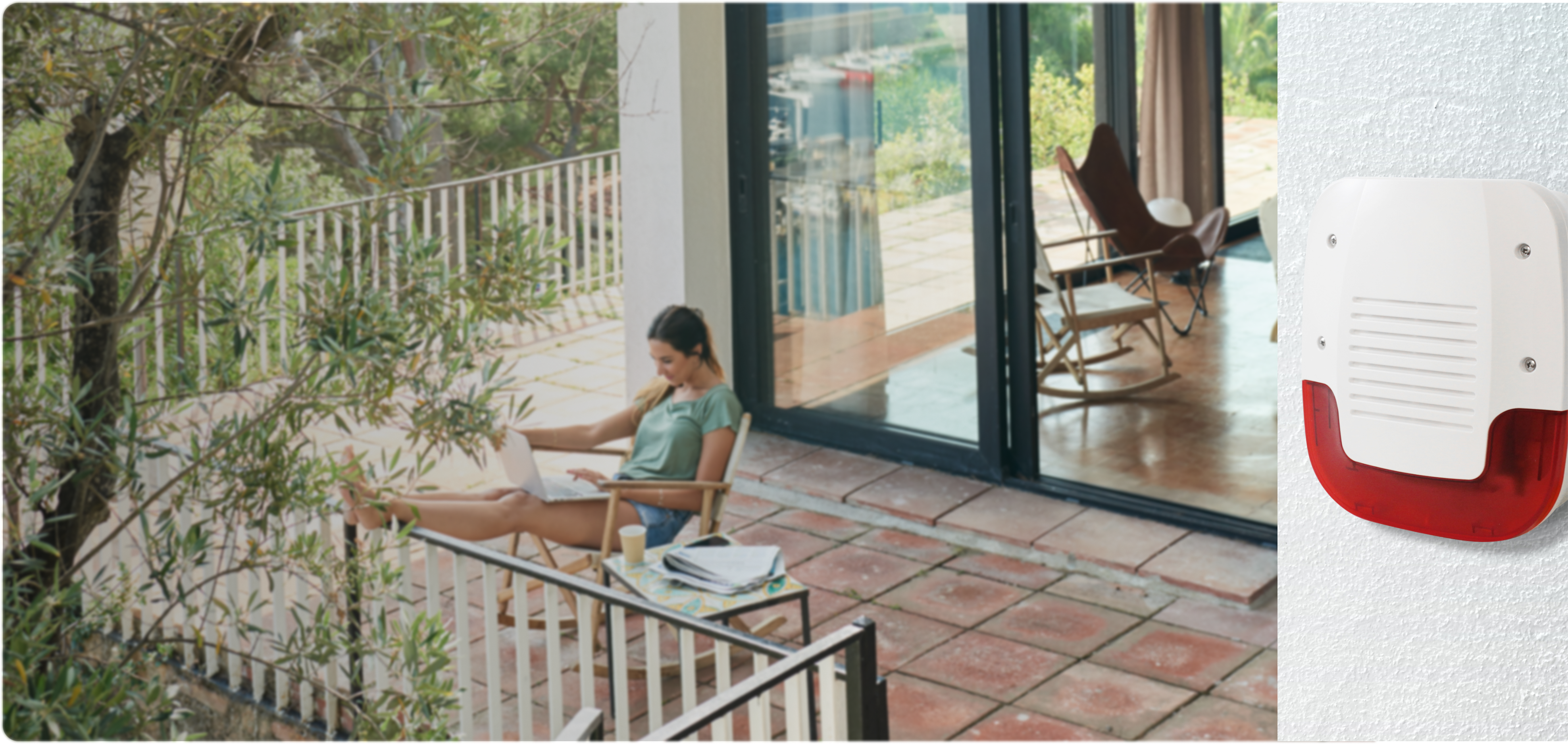 immagine illustrativa