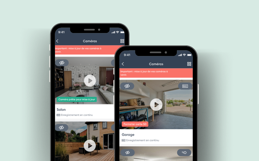 immagine illustrativa