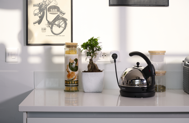 immagine illustrativa