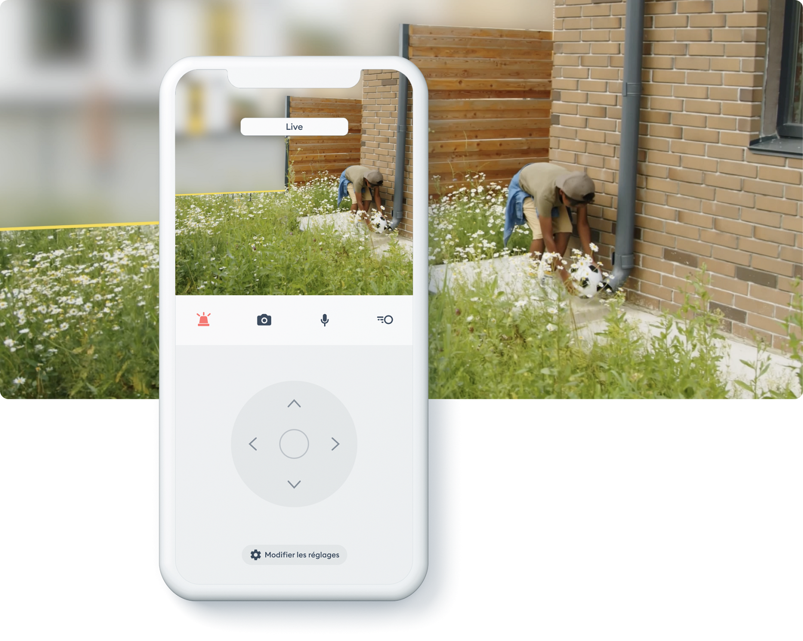 immagine illustrativa