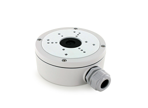 immagine illustrativa