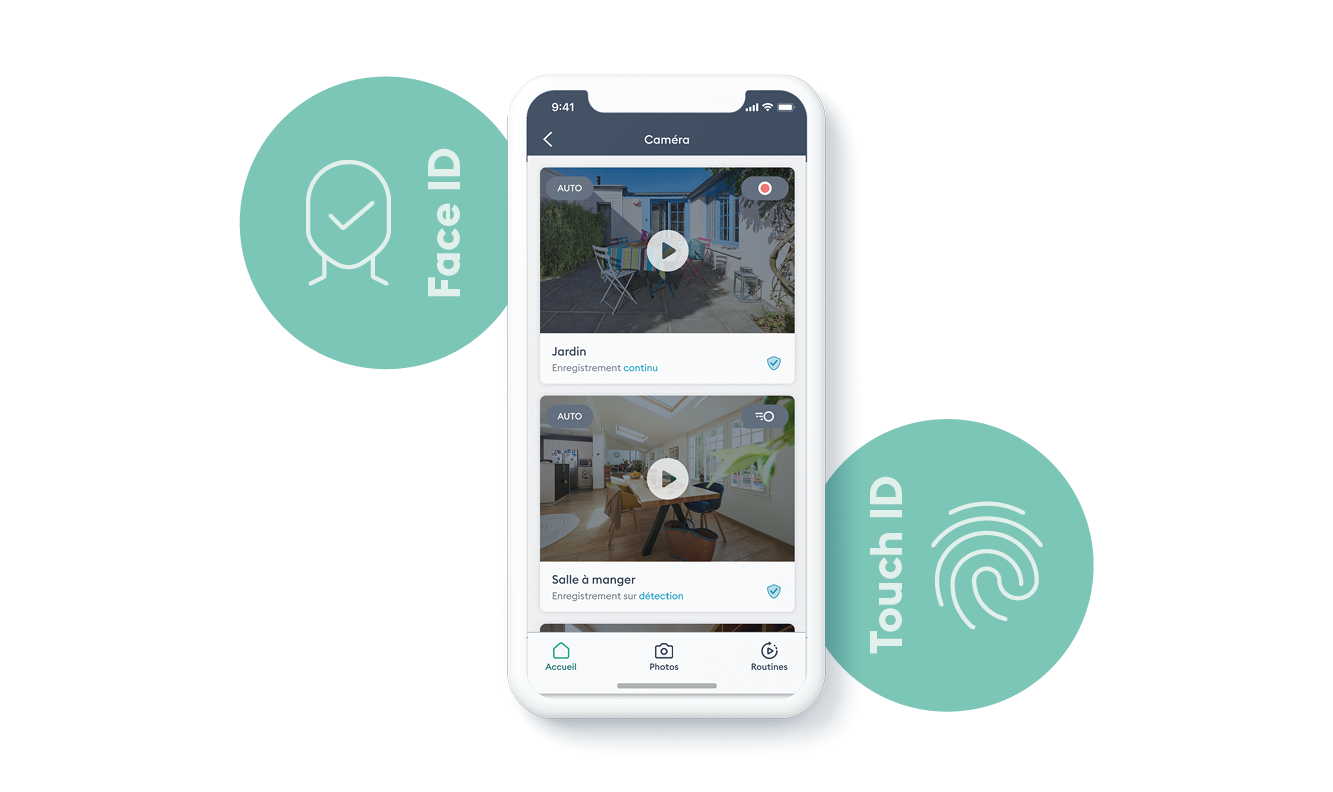 immagine illustrativa