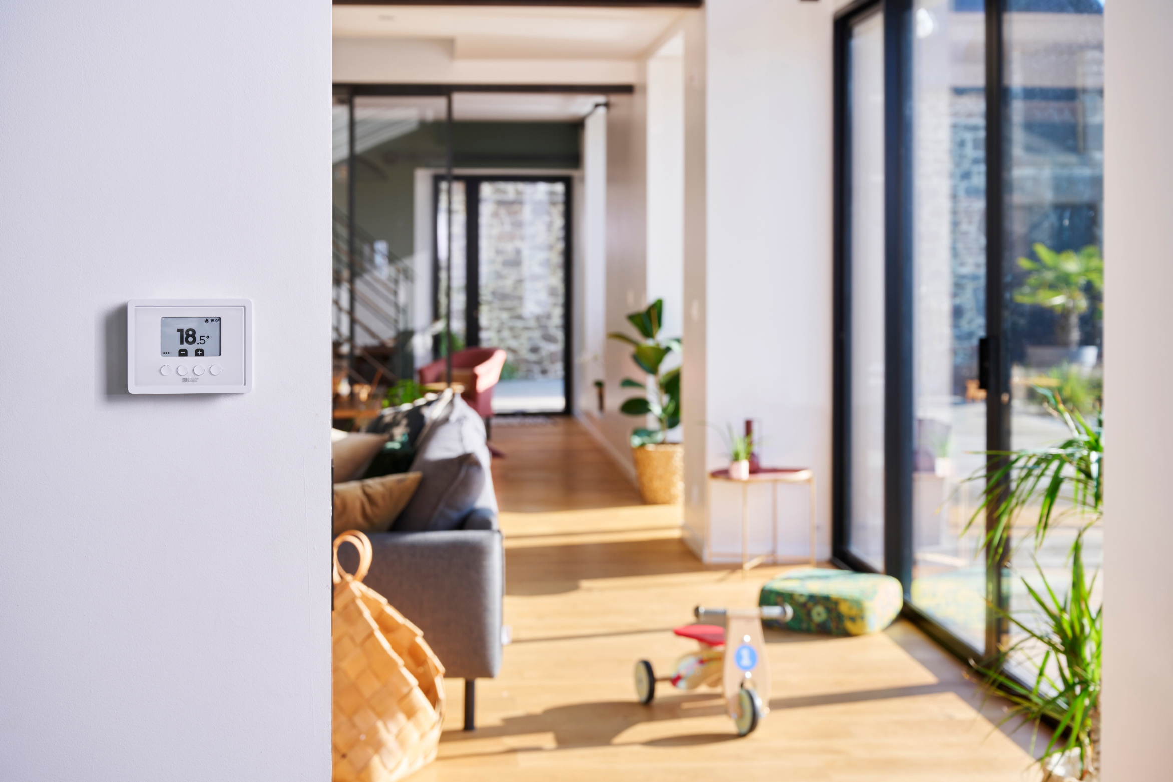 immagine illustrativa