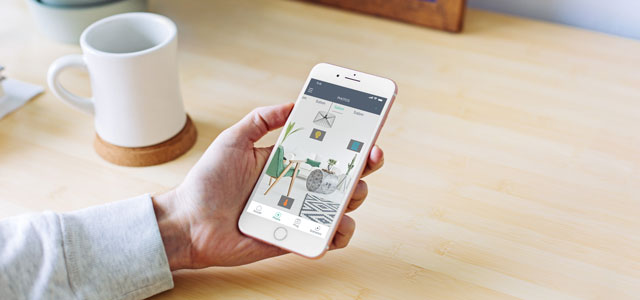 immagine illustrativa