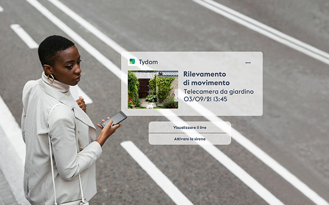 immagine illustrativa