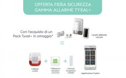 immagine illustrativa