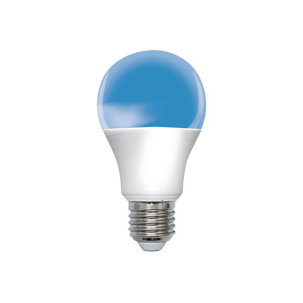 Easy Bulb E27CW Vista frontale Miniatura