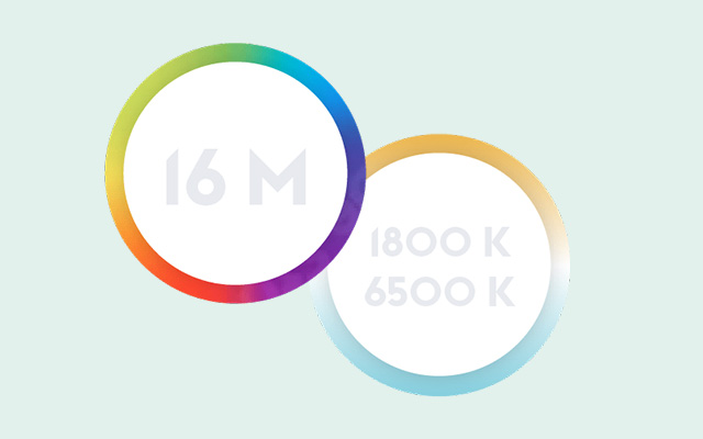 immagine illustrativa