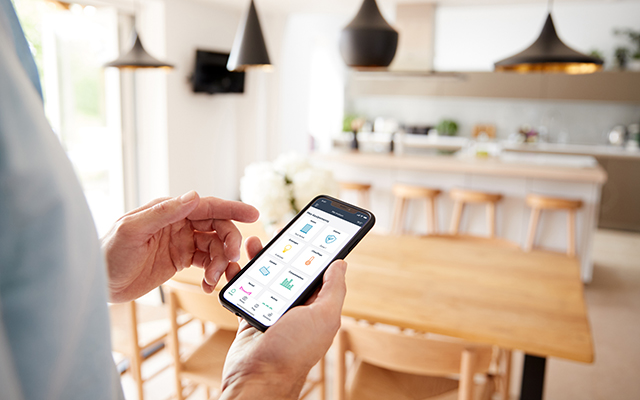 immagine illustrativa