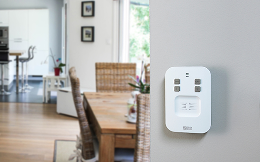 Proteggete i vostri beni più preziosi con un allarme connesso Delta Dore.