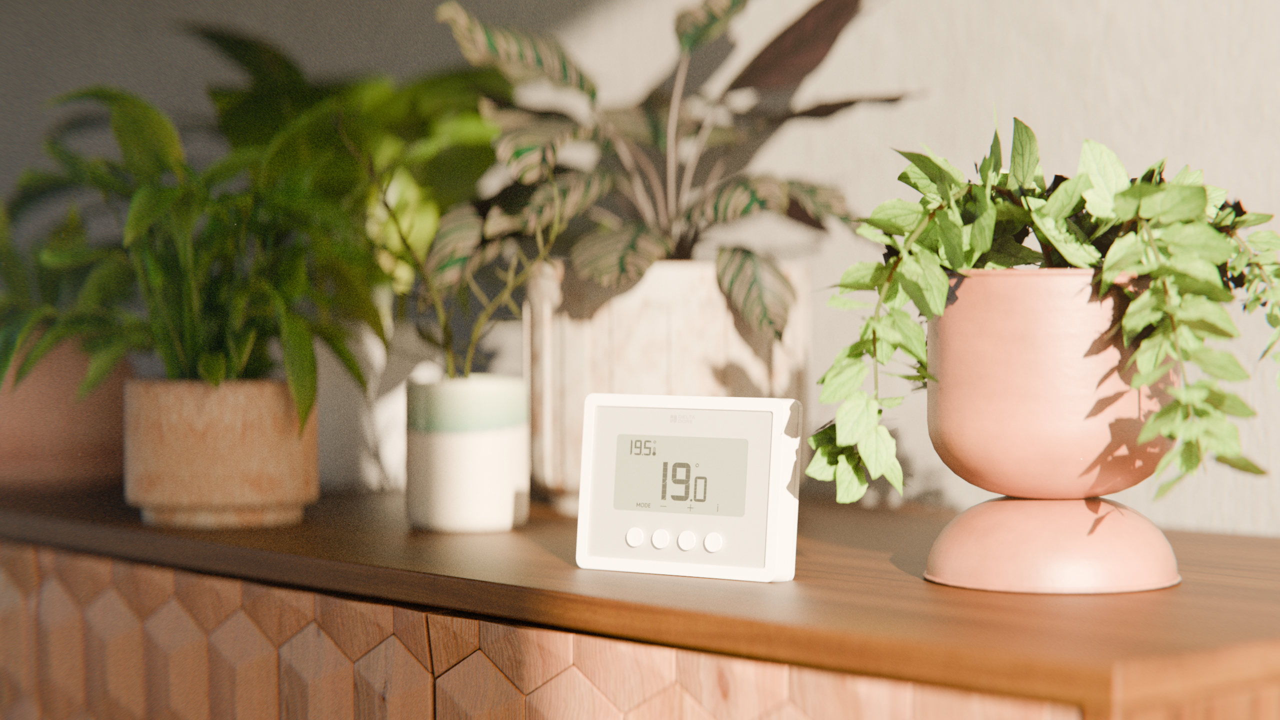 immagine illustrativa