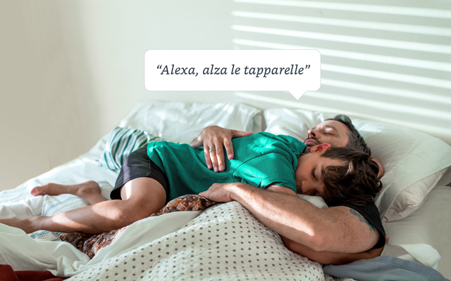 immagine illustrativa